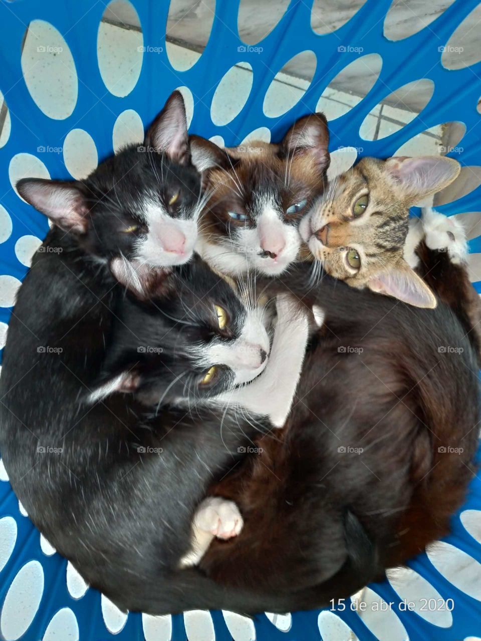 acho que estamos com sono...