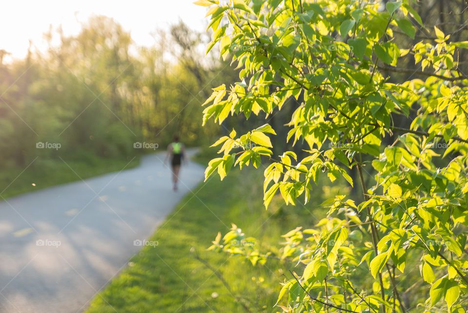 the walk