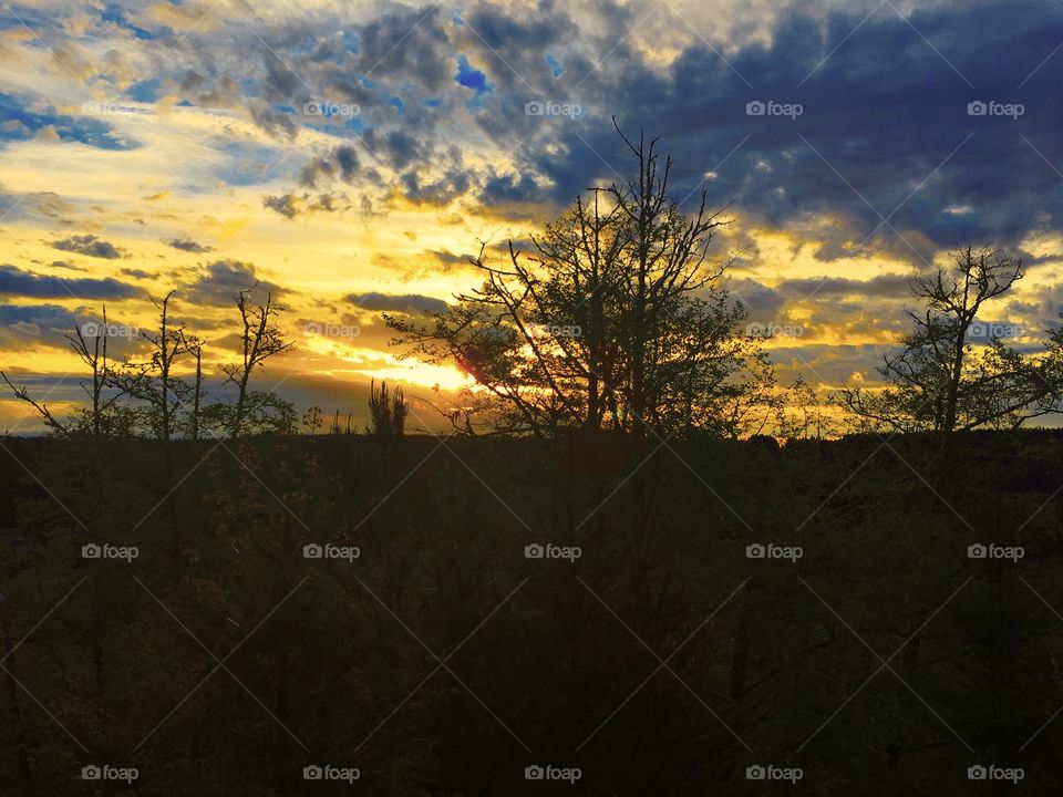 Spring Storm  Clouds at Dawn