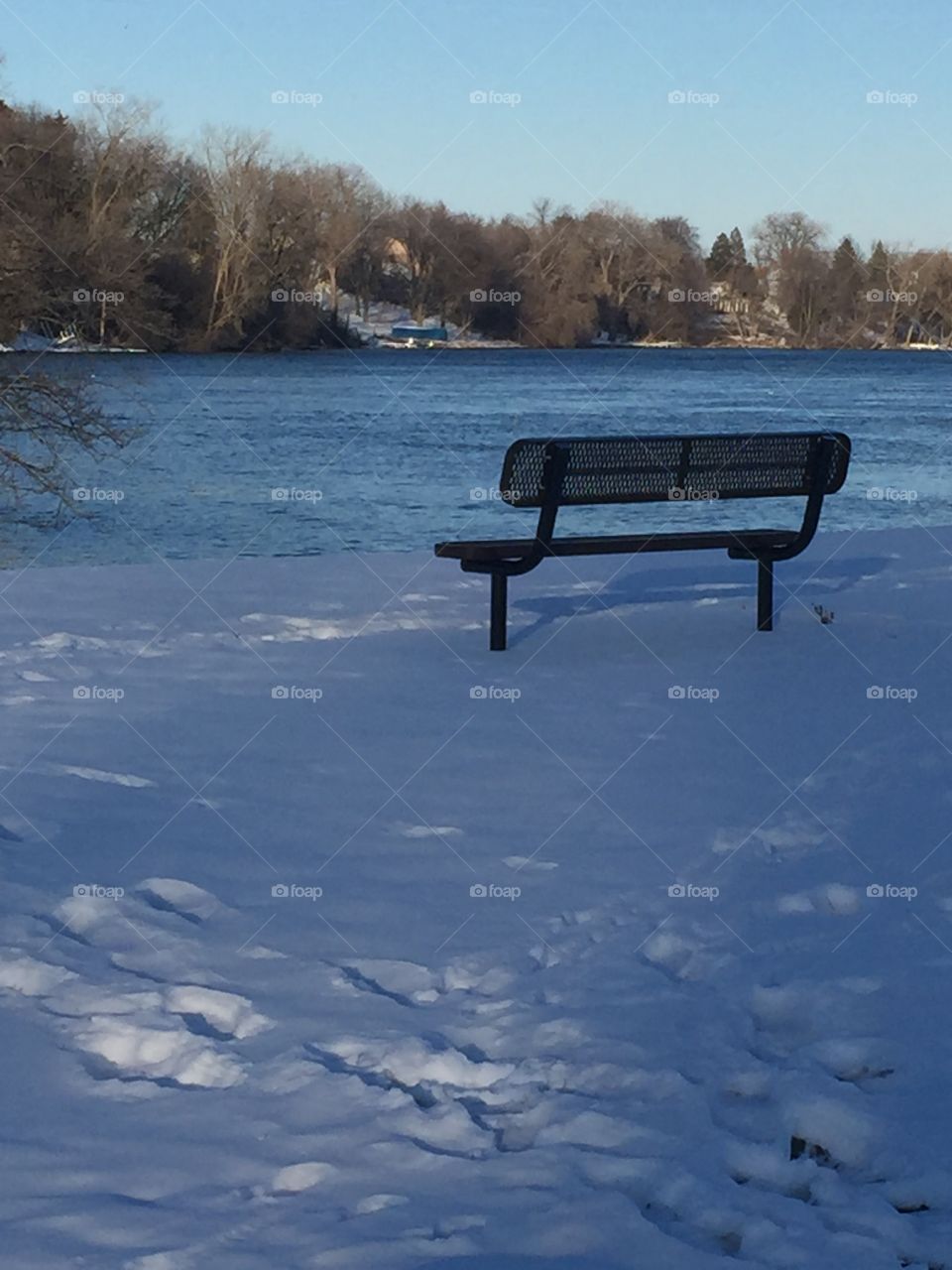 Empty bench at the park over looking the lake on a cold winter day