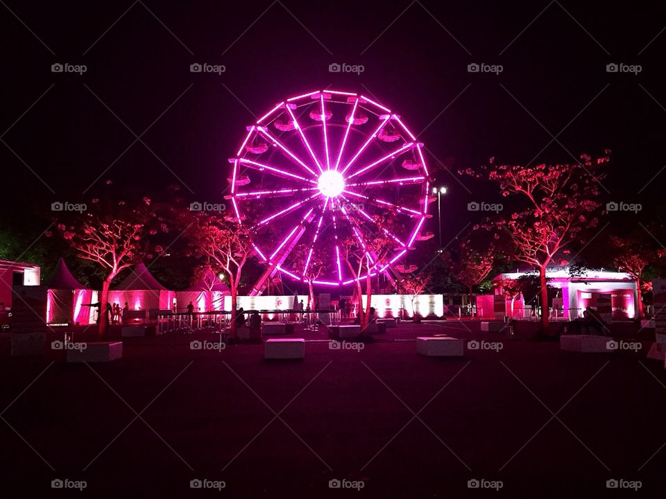 Ferris wheel