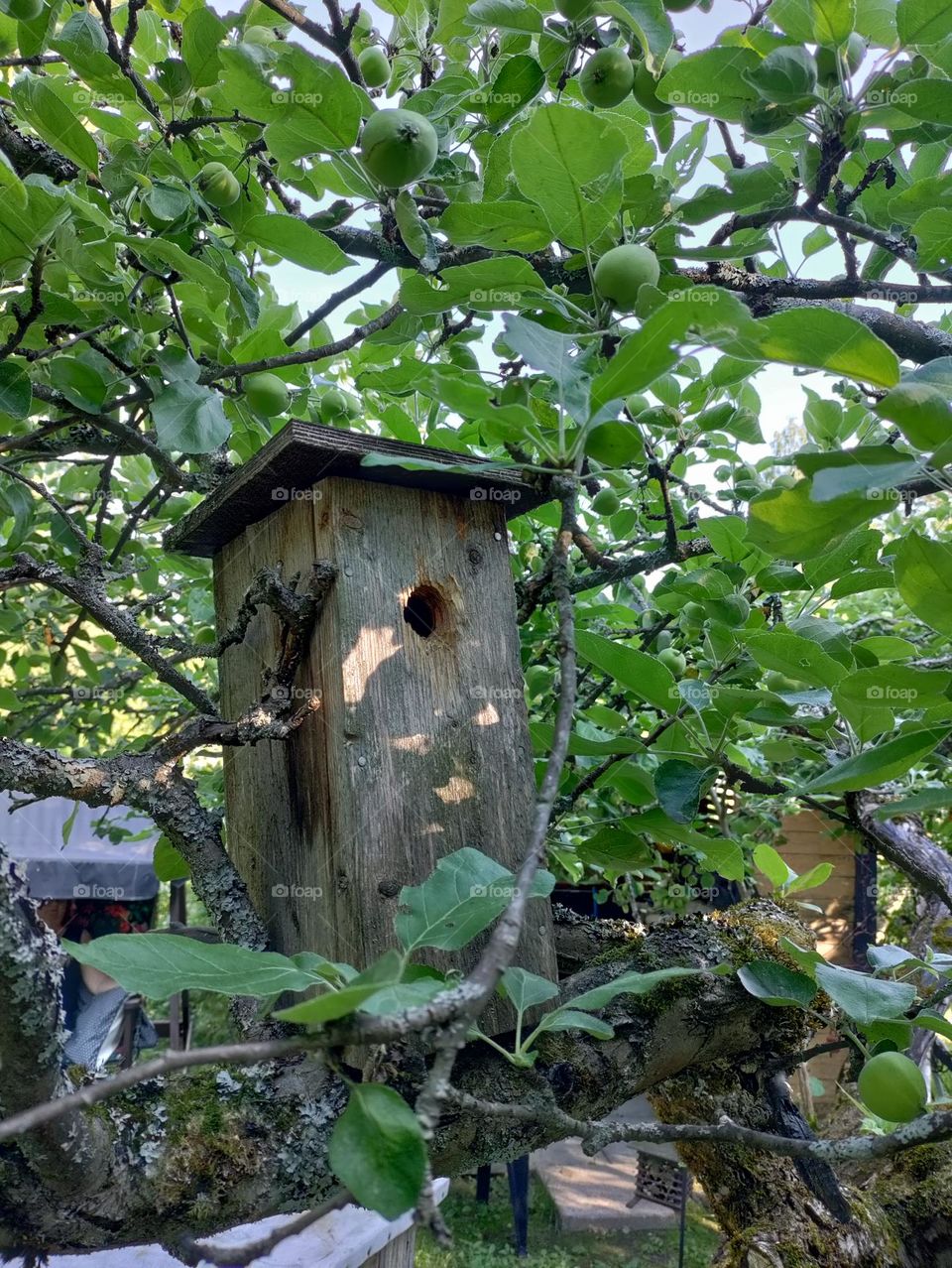 birdhouse