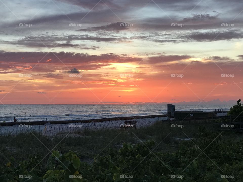 Sunset Gulf Coast 