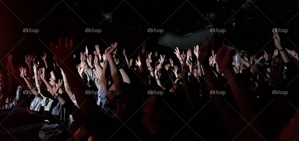 Audience in concert