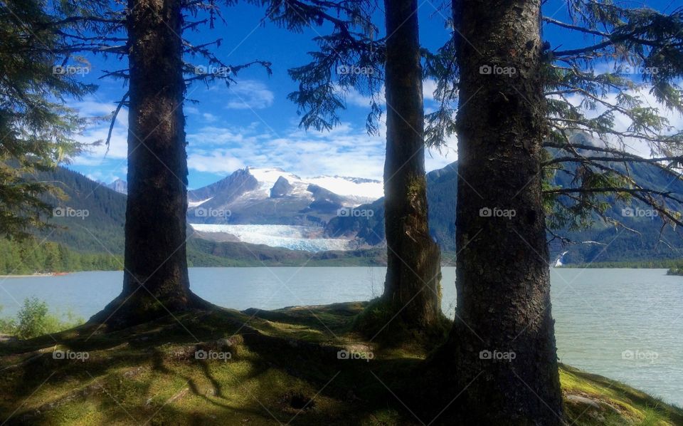 Mendenhall Glacier Lake in Juneau Alaska on a beautiful sunny day.