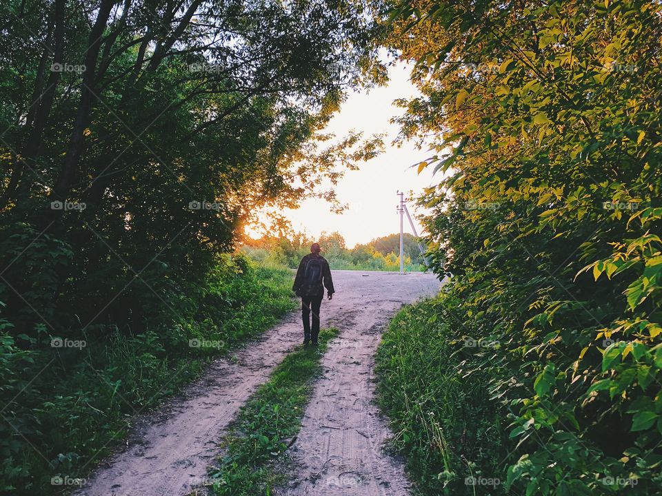 Summer walk