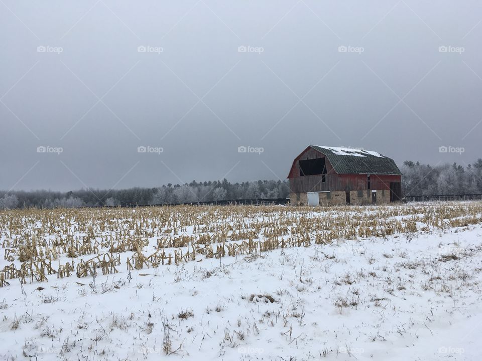 Winter Barn