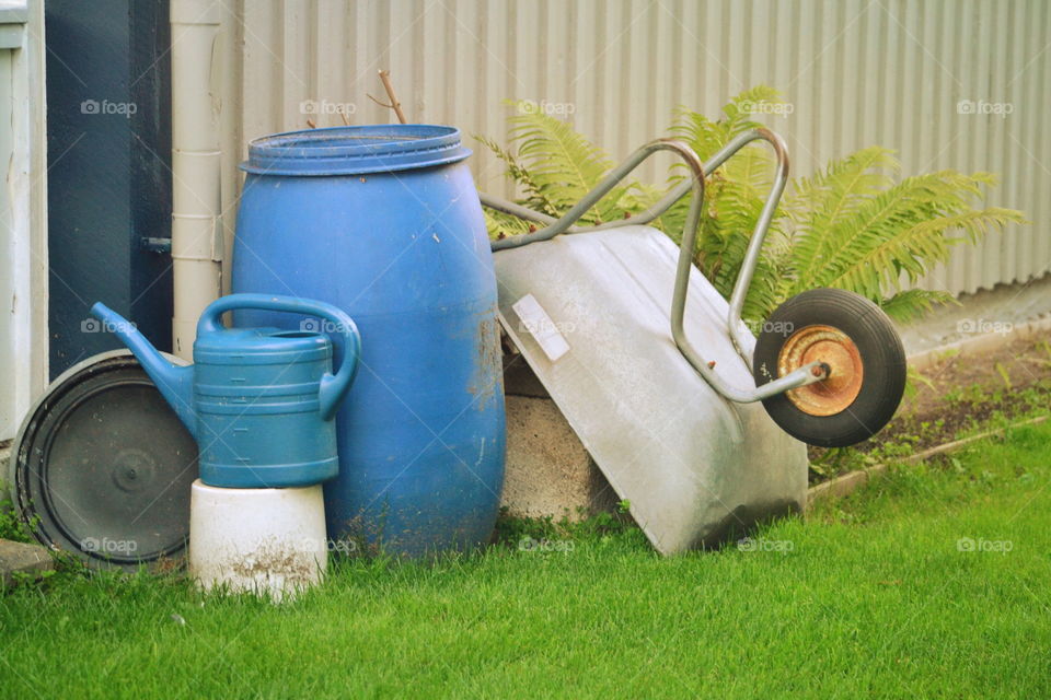 Grass, Garden, Summer, Agriculture, Farm