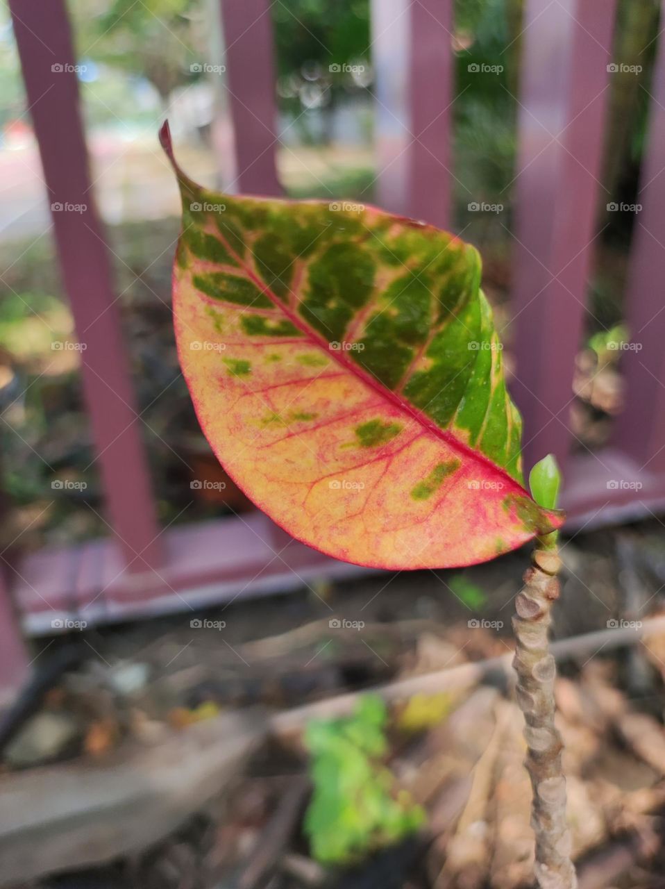 Part of beautiful nature around the corner