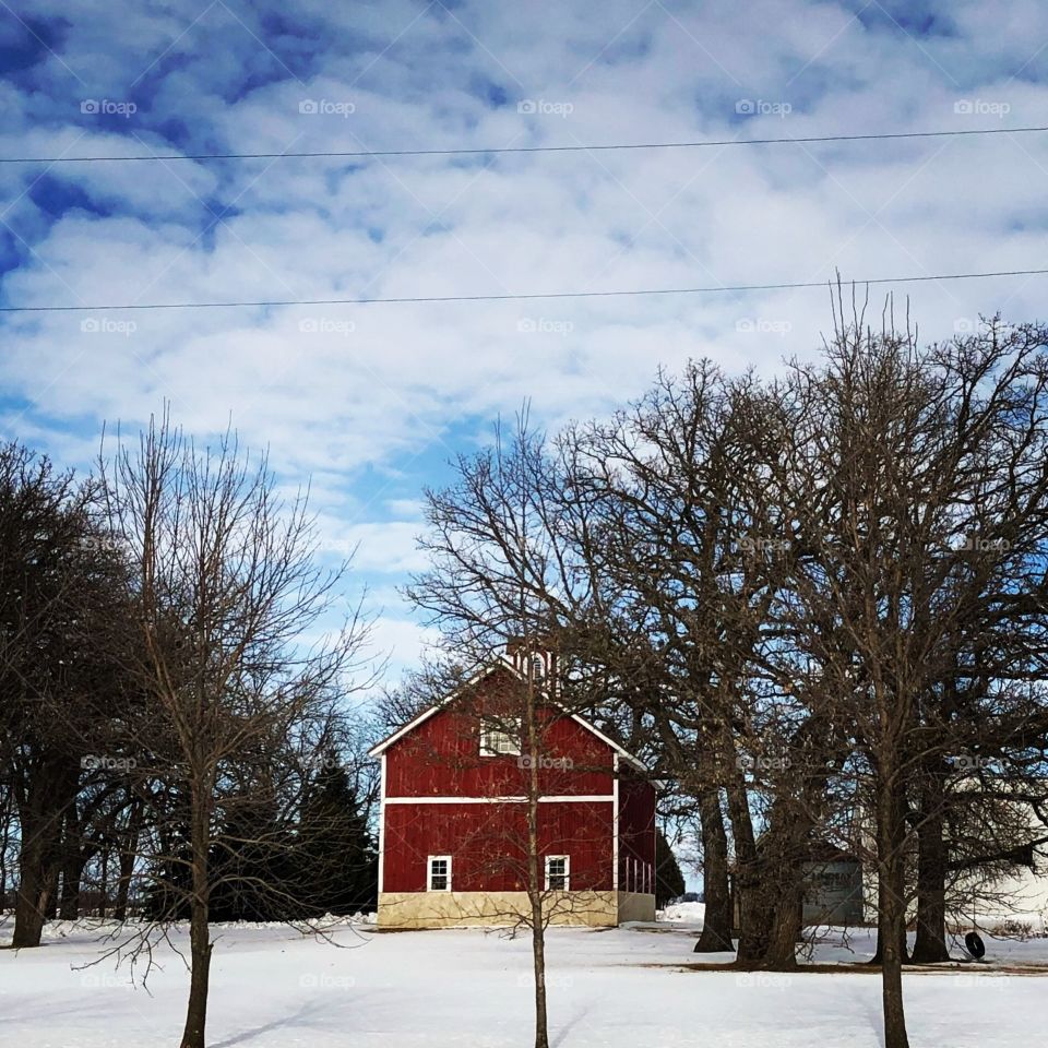 Farm life 