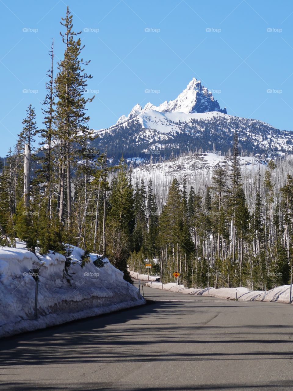 The jagged snow covered peak of Mt. Washington in Oregon’s forests and Cascade Mountain Range against a clear blue sky on a sunny spring day. 