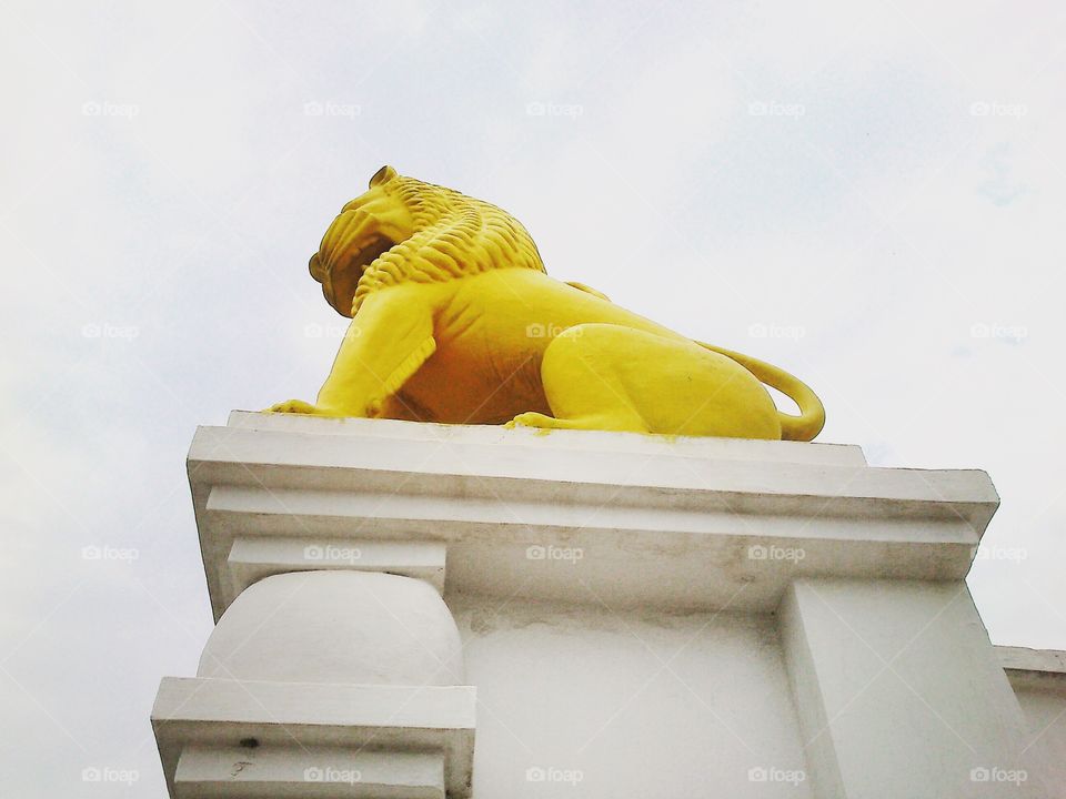 Sitting yellow Lion statue on a wall