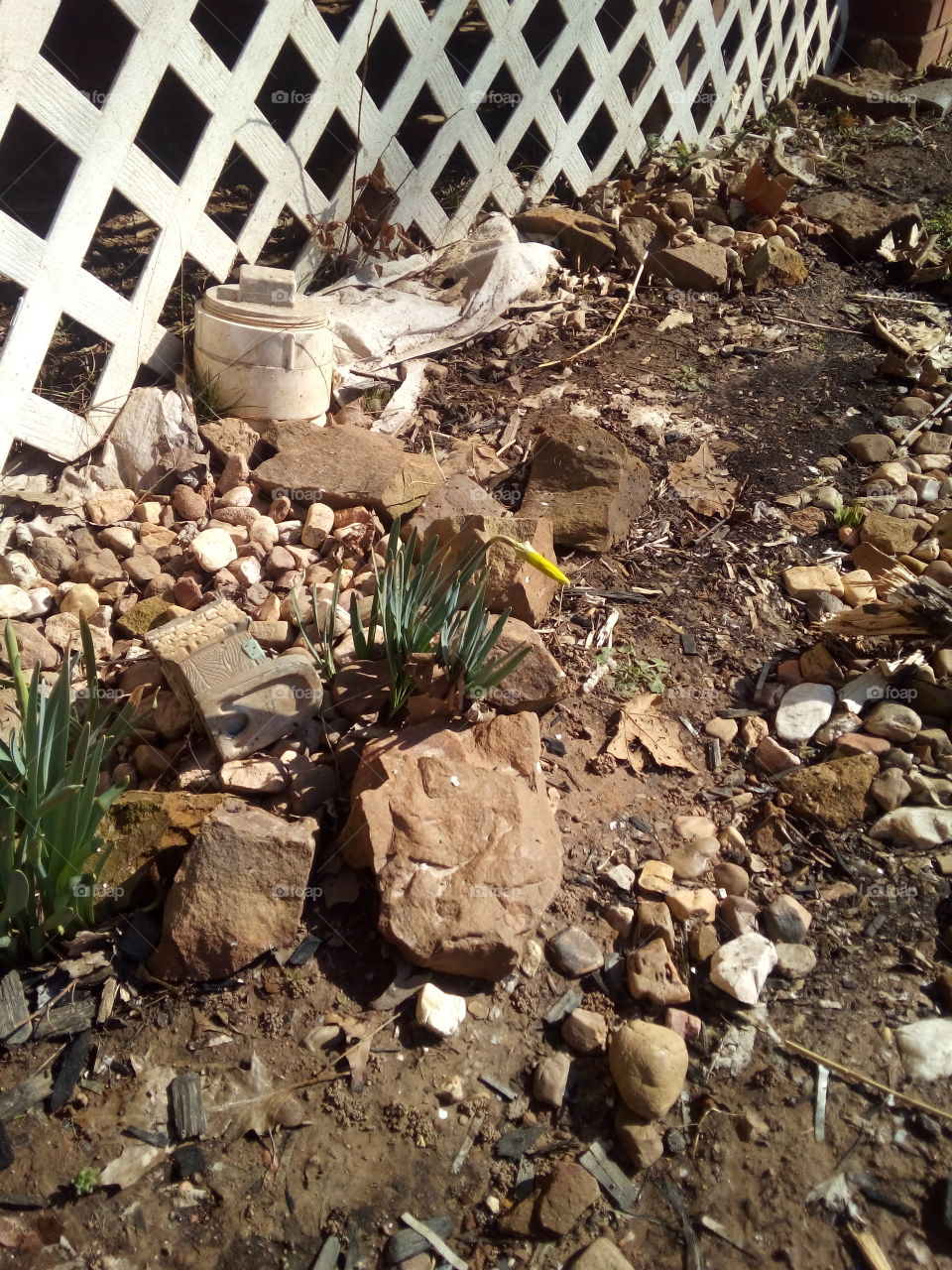 I'm so excited spring is on the way.every living plant is beginning to bloom. yay!