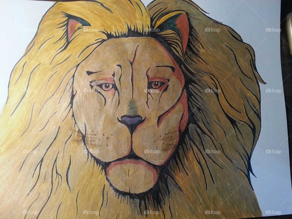 Lion Drawing