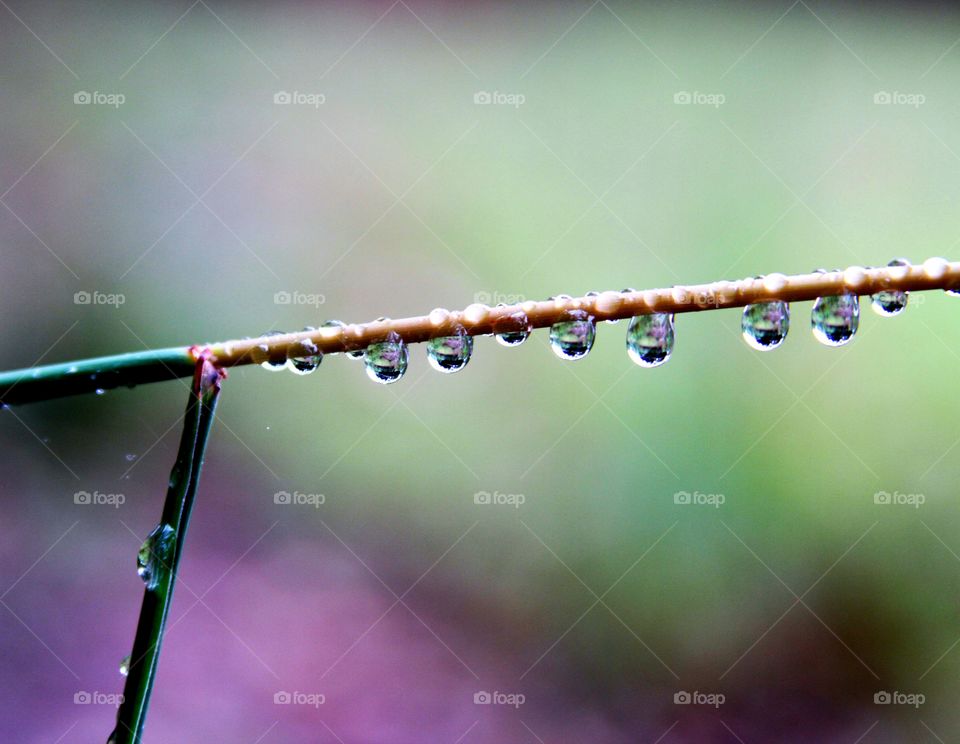 waterdrops