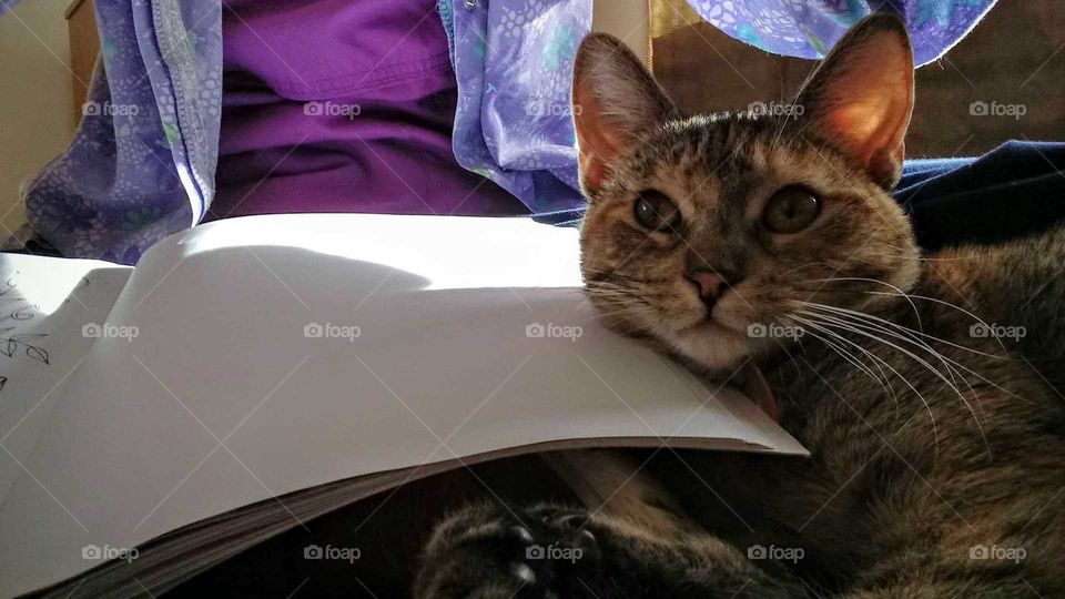 Kitty holding book open for Mom