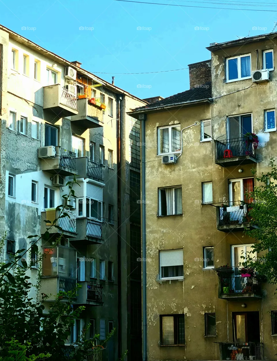urbane mess