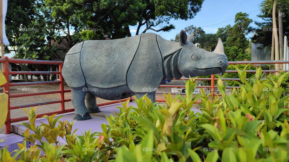 Rhinoceros sondaicus