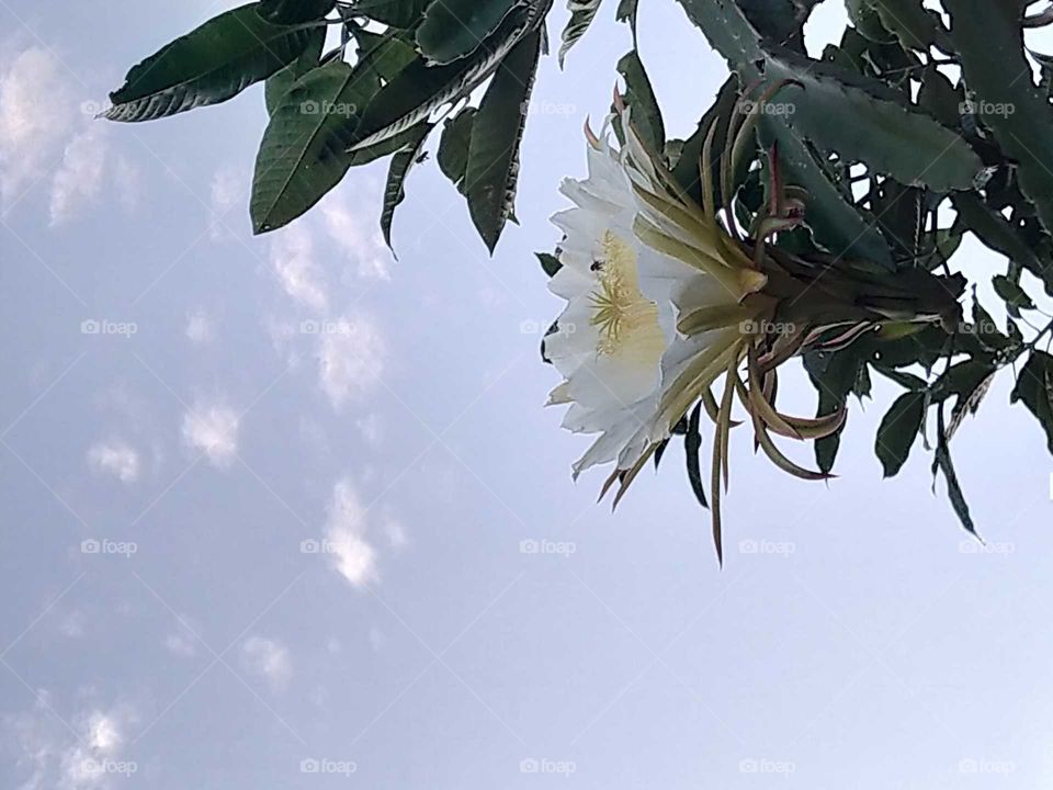 when you look at the sky then you will see something that more amaze your eyes.