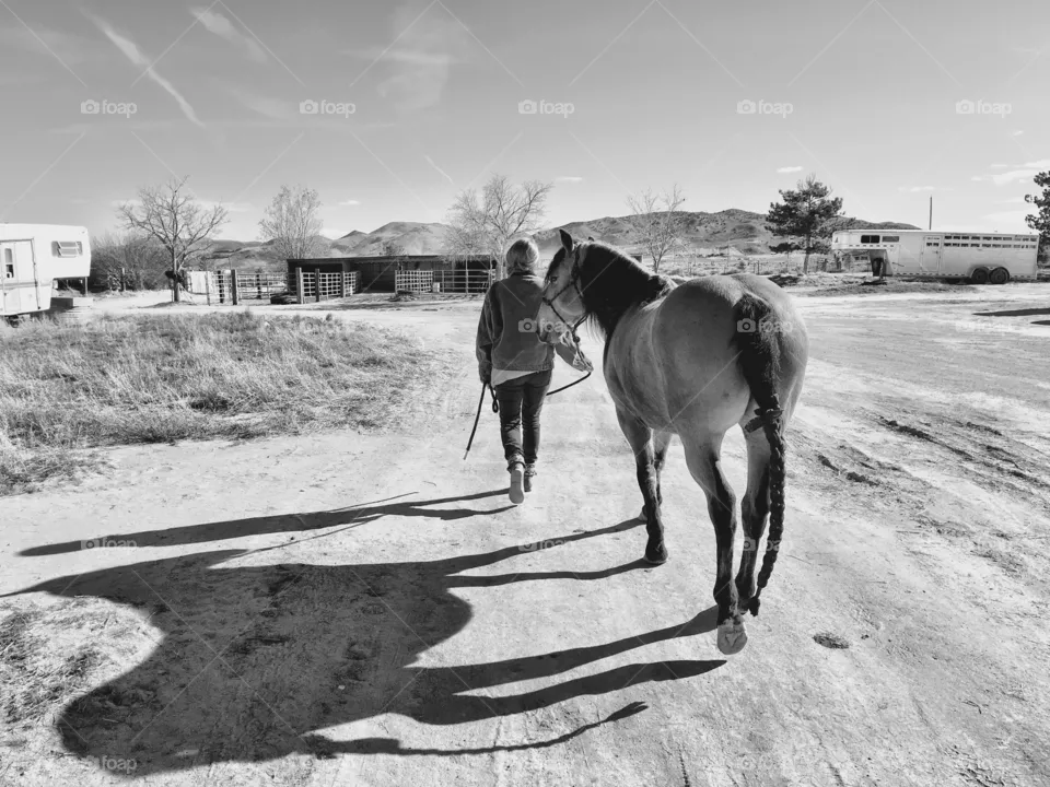 Cavalry, People, Mammal, Transportation System, One