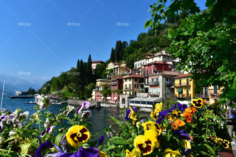 Flowers lake como Italy.