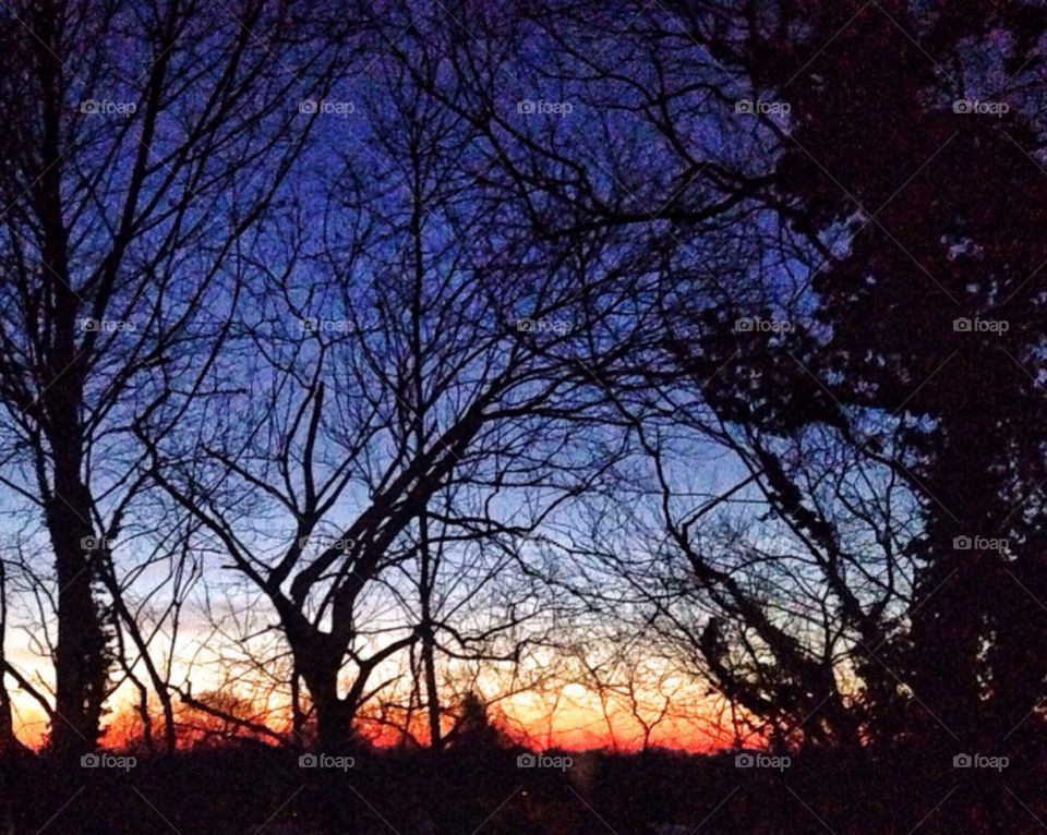 Kitchen sunrise...