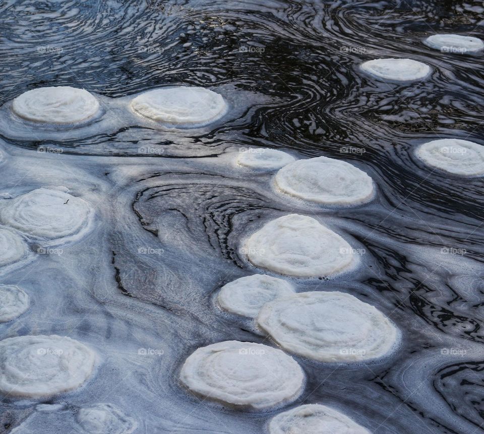 Foam circles floating on the waters surface.