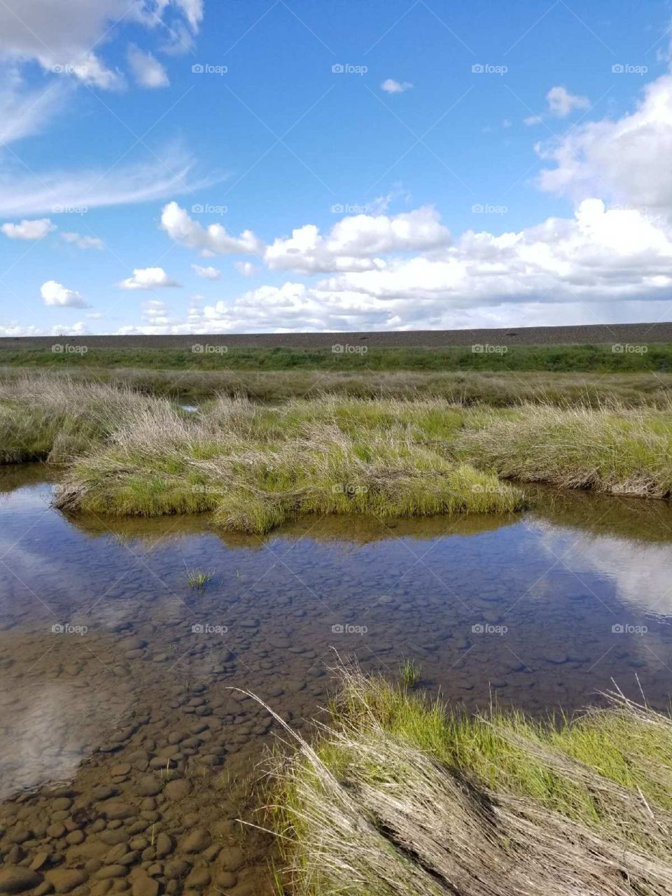 A world of water and sky. 