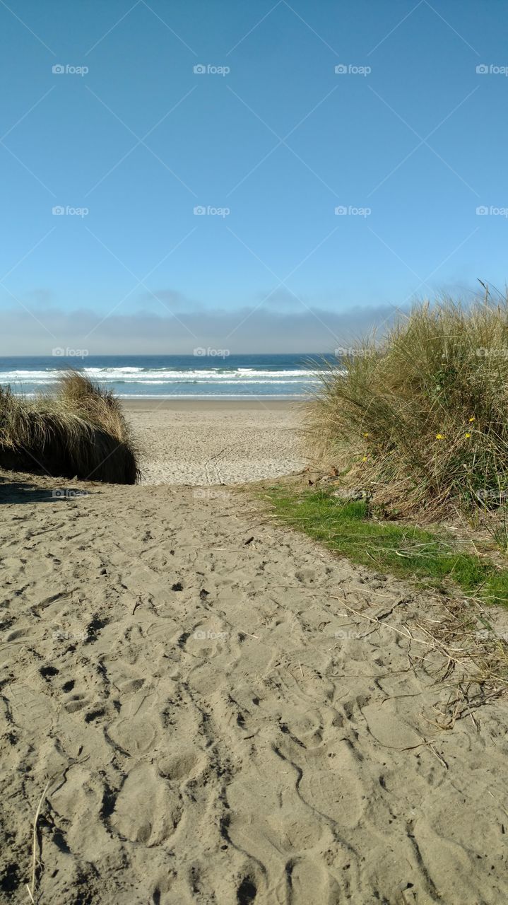Beach, Sand, Water, Sea, Seashore