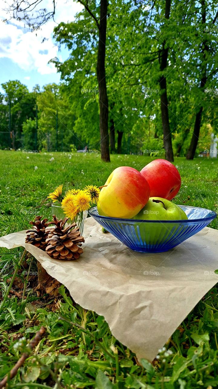 Spring Picnic