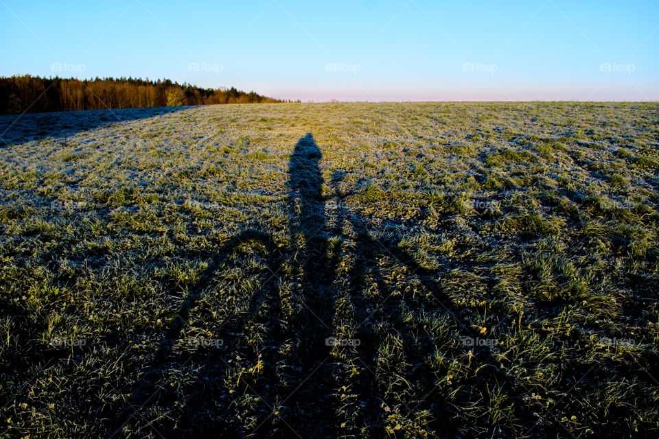Bicycle shadow