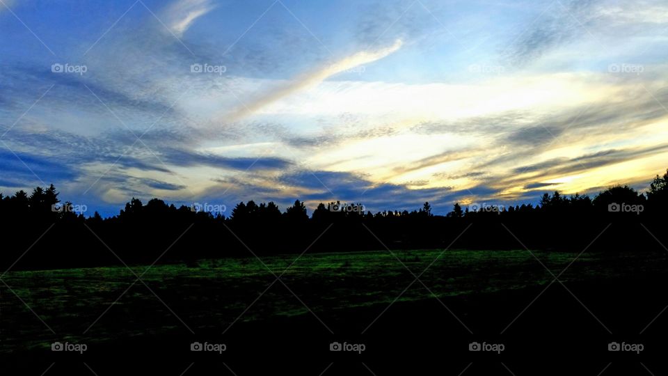 Skylight!. Beautiful skylight