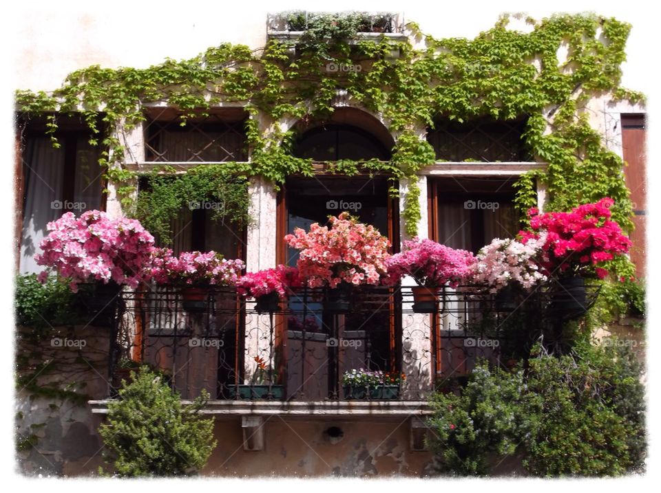 Flowers on the balcony