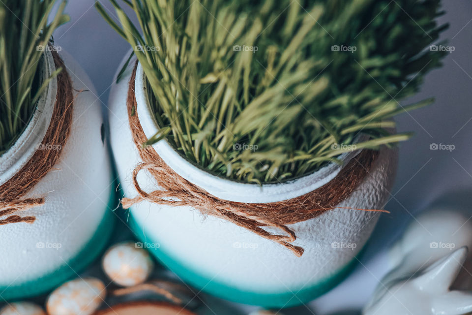 wheat in a pot