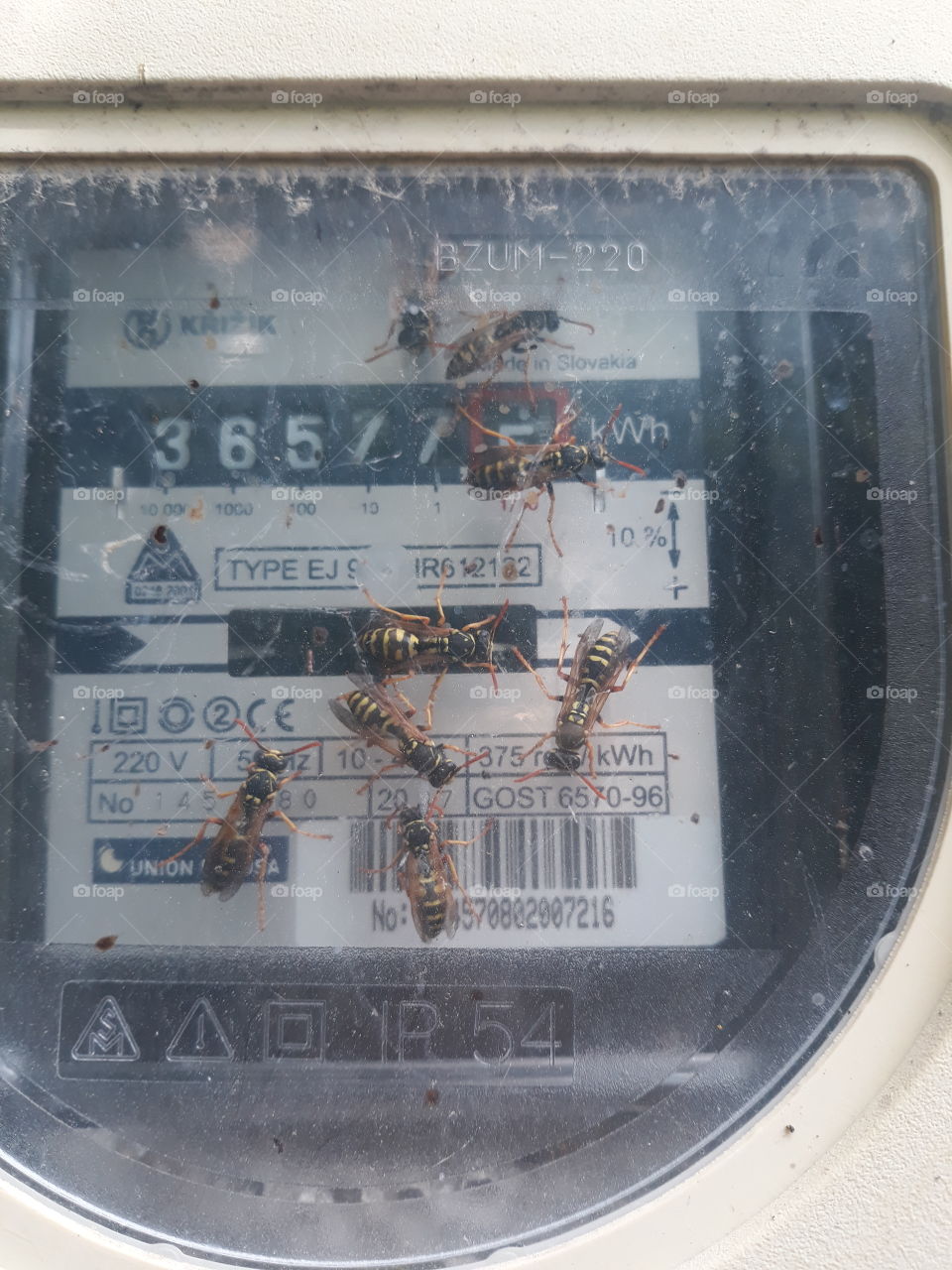 Bees on the electric meter