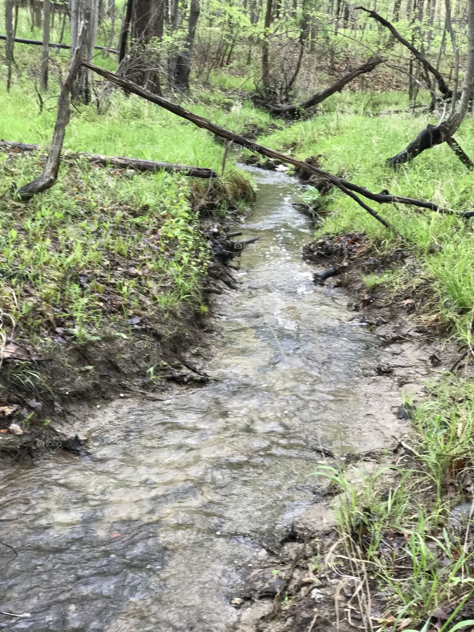 Veteran's Park, Mentor, Ohio