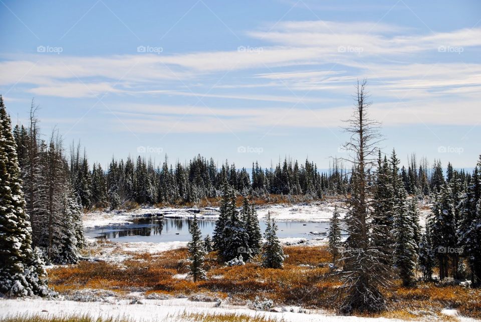 High Mountain Lake Reflected