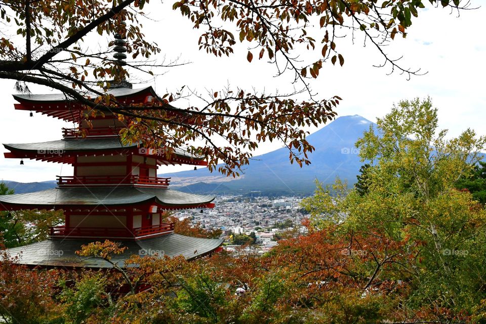 beautiful views of mount Fuji