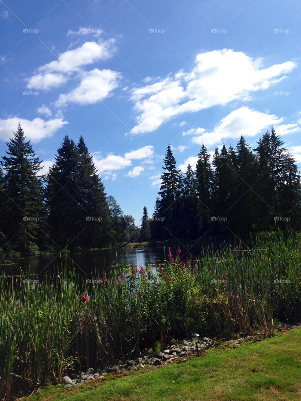 Lovely Lake. Washington Lake