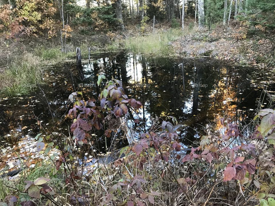 Fall pond in northern Wisconsin 