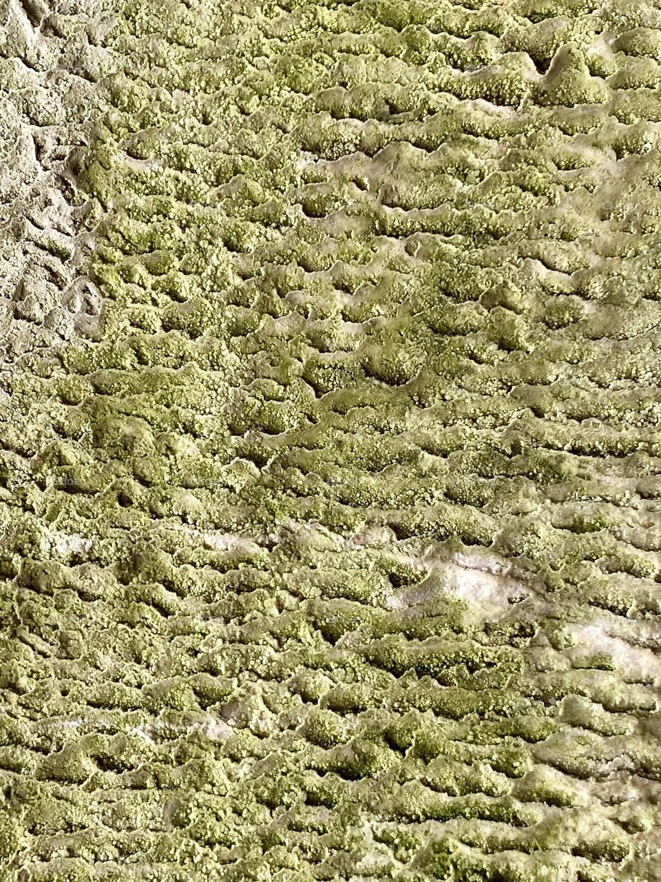 Mineral deposits on the wall of a tunnel