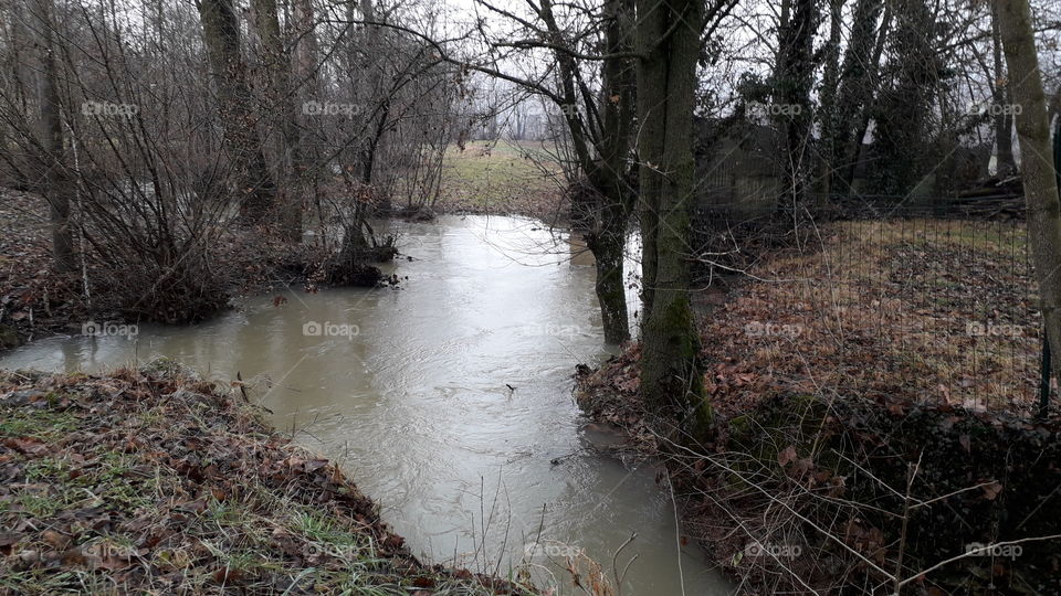 winter grey day in the country