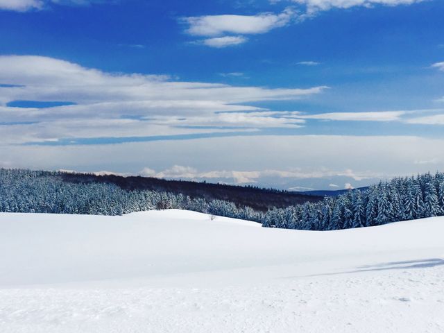 Snow, Winter, Cold, Landscape, Frost