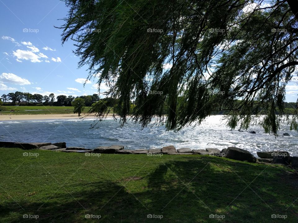Water, Landscape, Tree, Nature, Travel