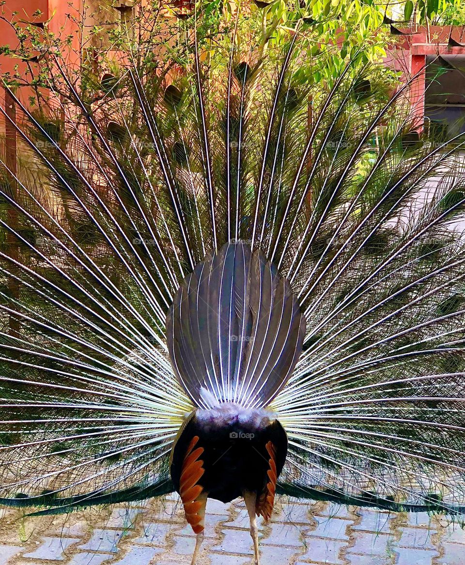 upload photo of the month March