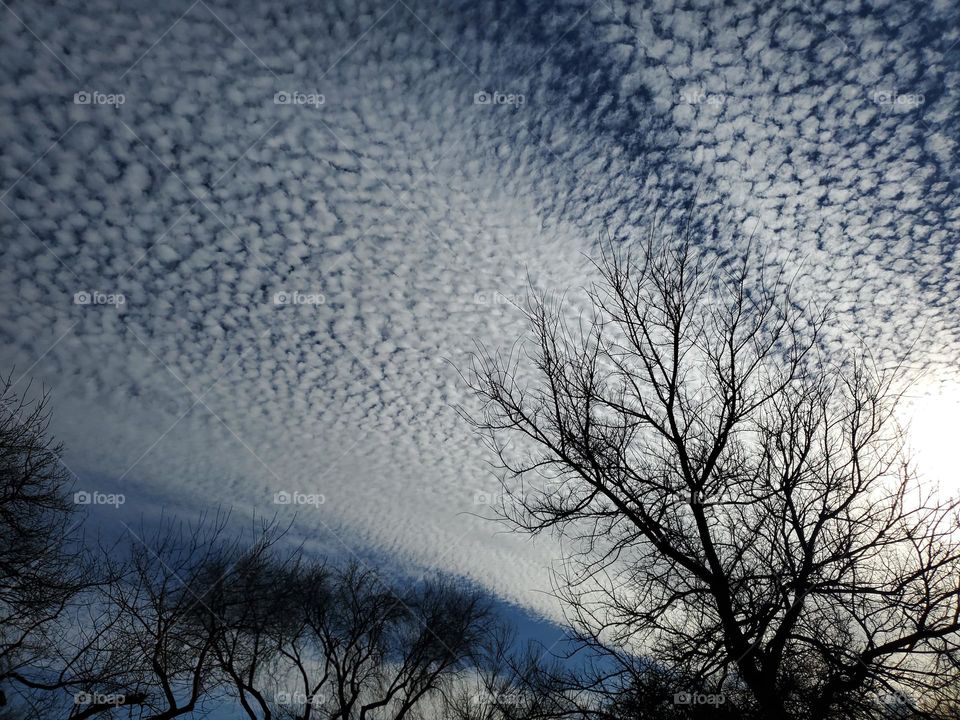 Abstract nature... artistic natural design at sunset in the sky.