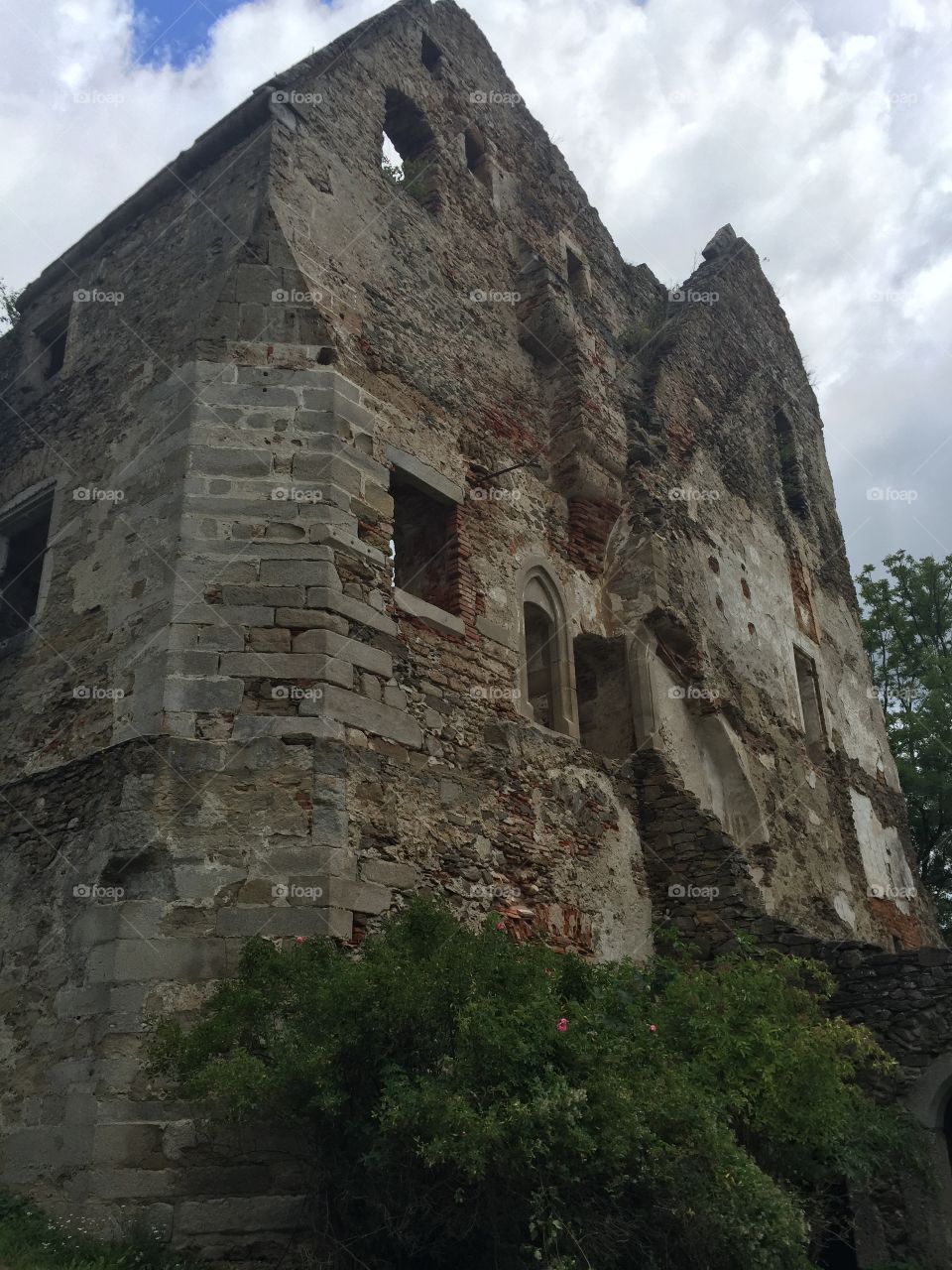 Ruine Schaunberg nahe der Donauschlinge