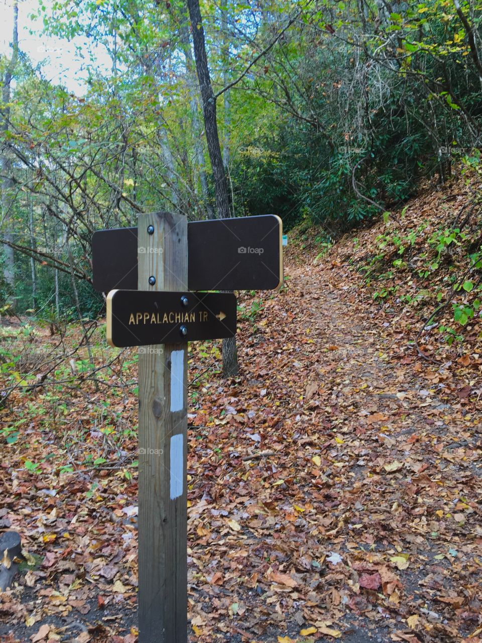 Appalachian trail