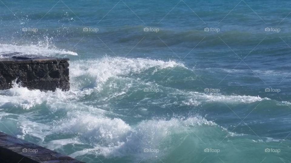 Waikiki Surf High Tide