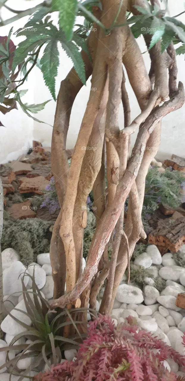aiuola decorata